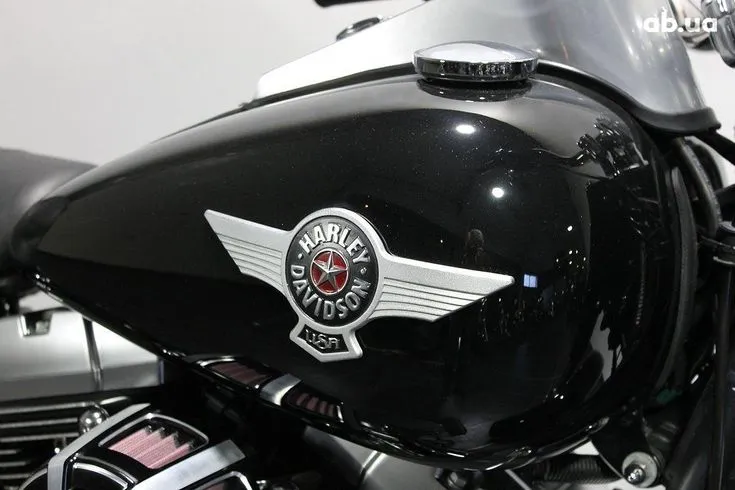 Harley-Davidson FLSTFB  Image 2